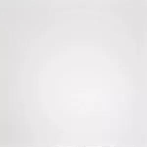 Керамогранит Домино (Domino) 600*600 белый G-100/MR — купить в Комсомольске-на-Амуре