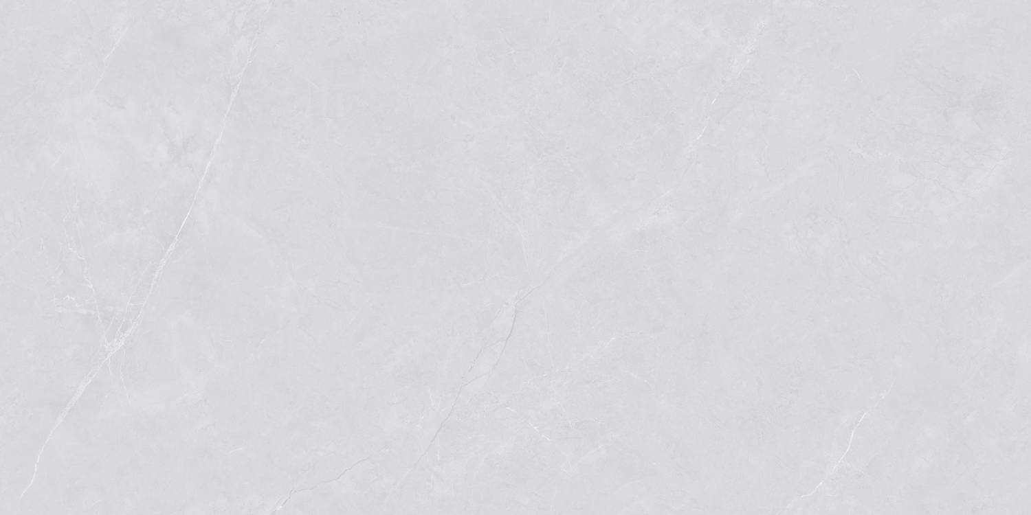 Керамогранит "Wan Sheng" Glazed (1200*600 мм) Серый D12620 — купить в Комсомольске-на-Амуре