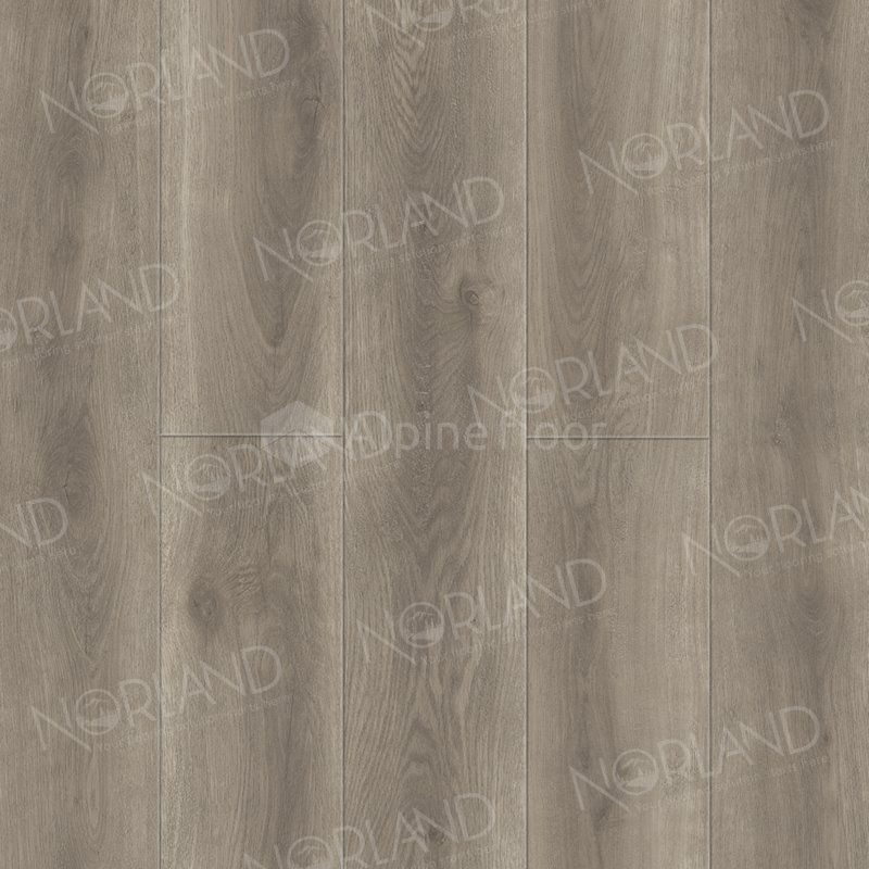 SPC Ламинат "Norland" Templet (1220*196*8 мм) — купить в Комсомольске-на-Амуре