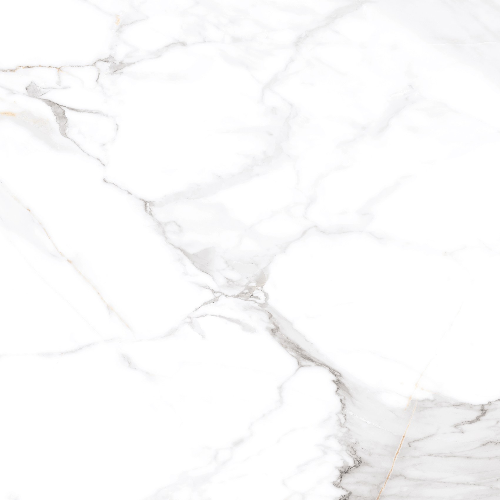 Керамогранит "Eternal" Calacatta (600*600 мм) Белый — купить в Комсомольске-на-Амуре