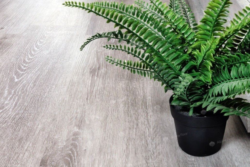 Виниловый ламинат "Alpine Floor" Classic Light MC Ясень Серый (1220*183*3,5 мм) — купить в Комсомольске-на-Амуре