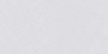 Керамогранит "Wan Sheng" Butterfly 600x1200 (1200*600 мм) Серый — фото и характеристики